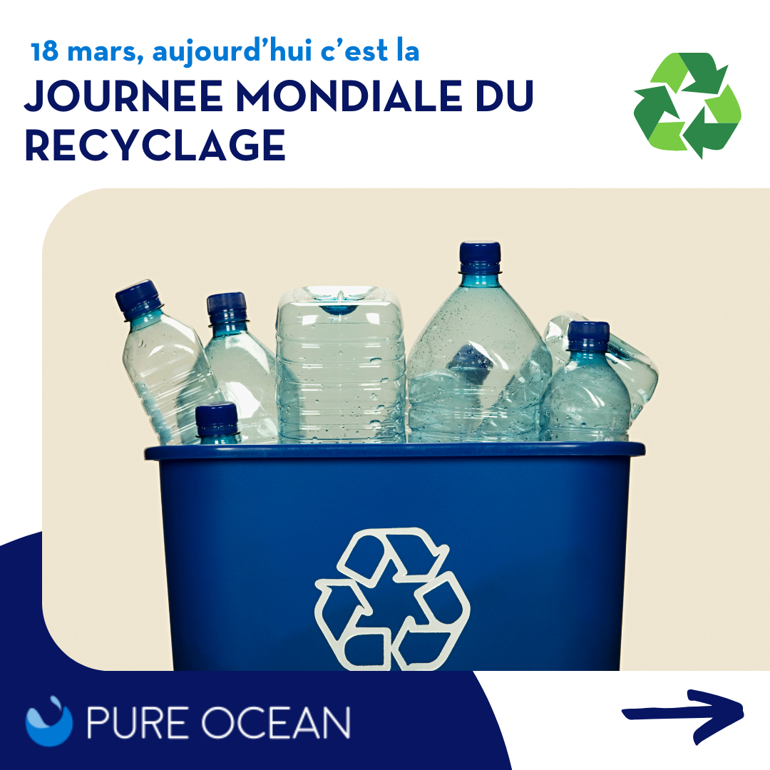 Ökolution Lot De 8 Bols Réutilisables En Plastique Recyclé RPET - Pétrole - Écologique Et Robuste