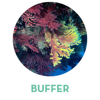 BUFFER