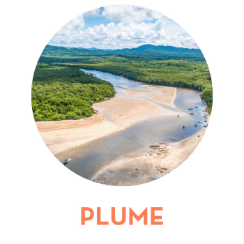 PLUME