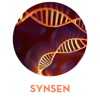 SYNSEN