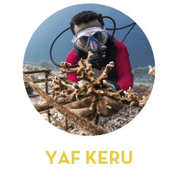 Yaf keru