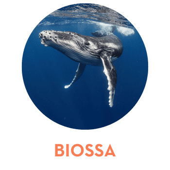 biossa