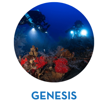 genesis