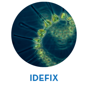 idefix