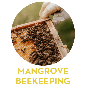 mangrove beekeeping