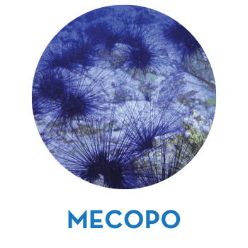 mecopo