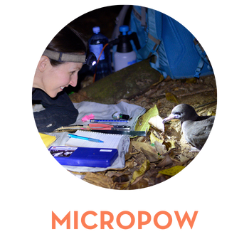 micropow