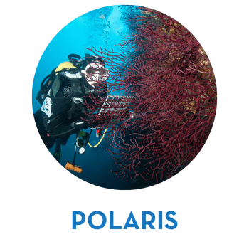 polaris