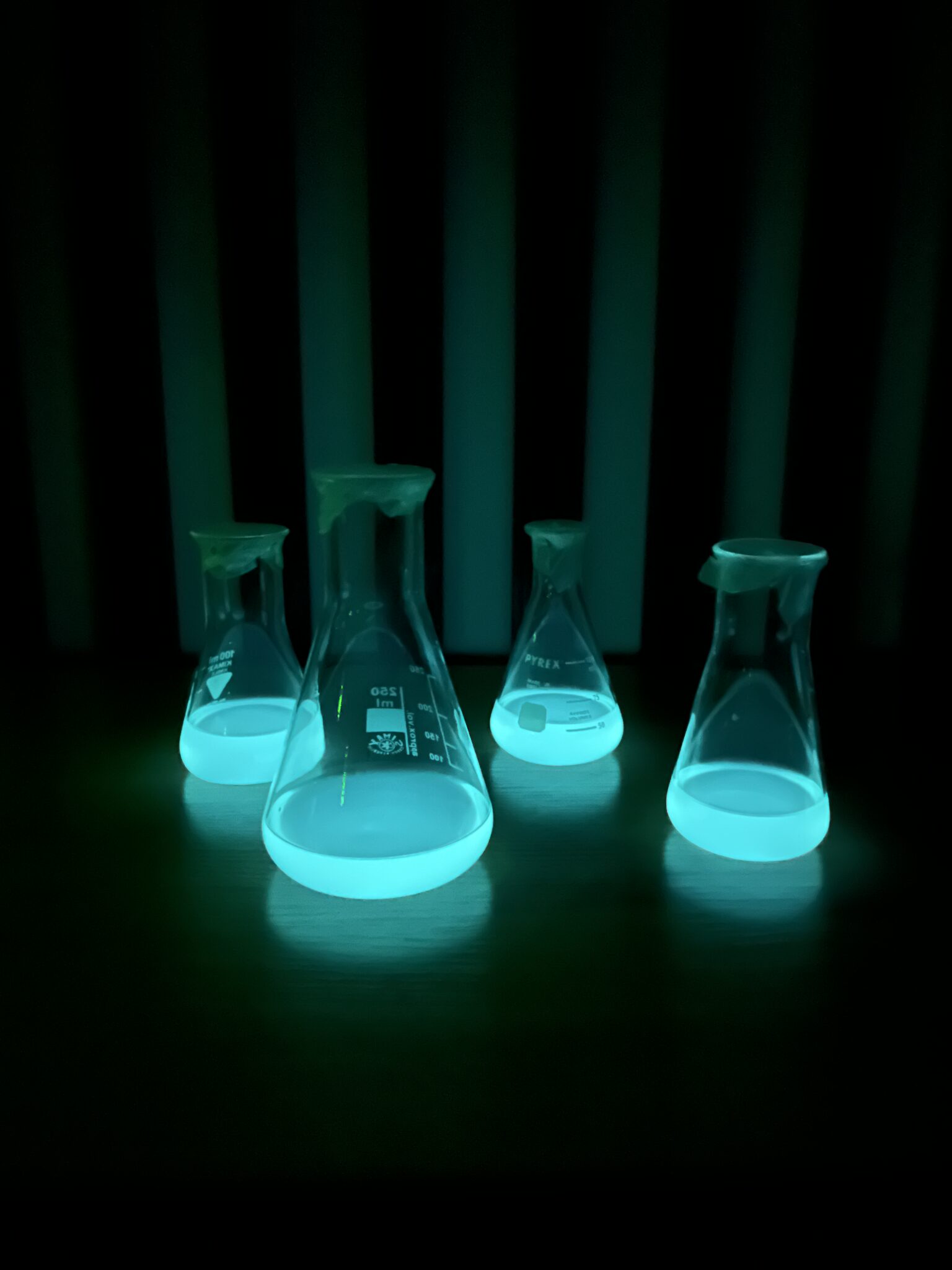 20251024_100342572_iOS