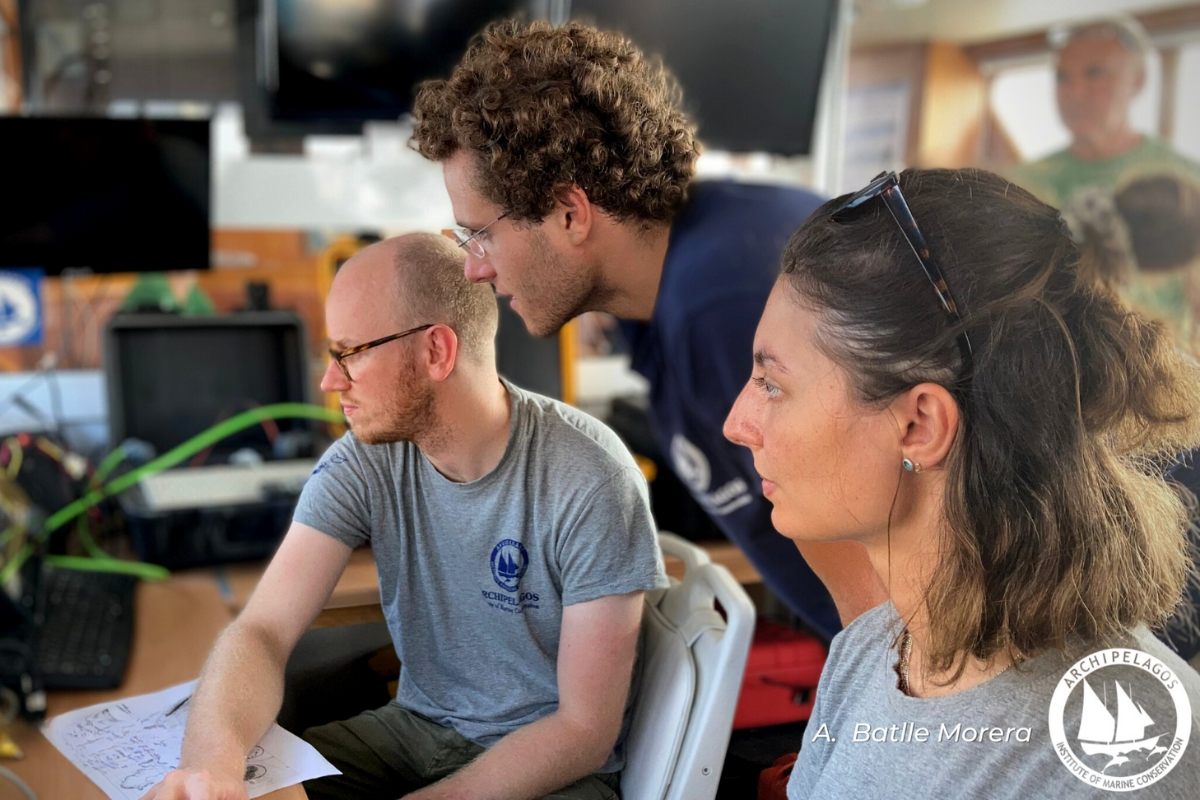 Protecting Aegean Coralligenous (6)