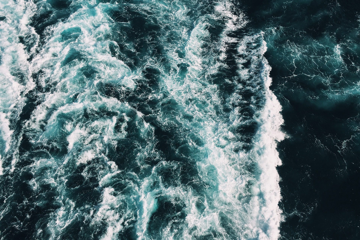 COASTAL OCEAN WATCH (1)