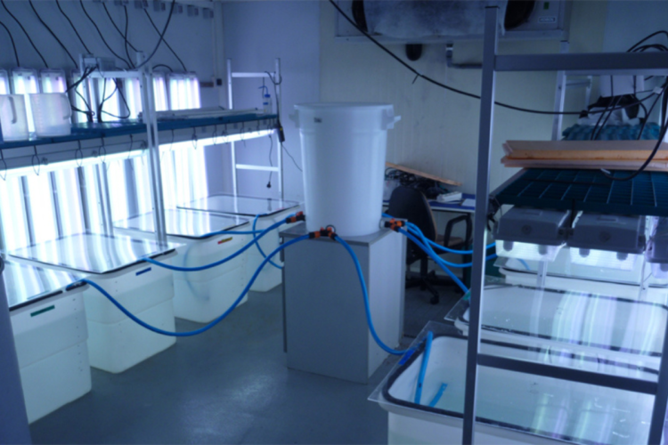 SPOPlastic (4)