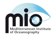 logo-mio-en